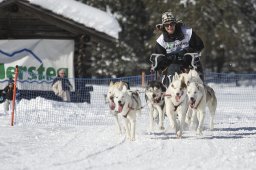 Kandersteg 2013